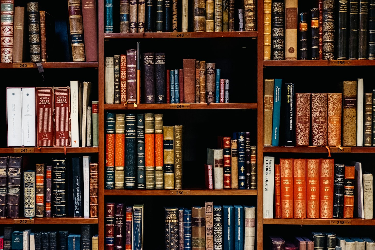 A Beleza da Transformação através da Literatura